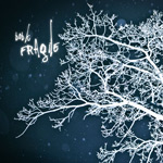bob K Fragile album new music review