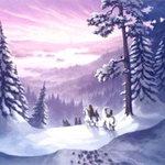 The Winter Tree album new music review