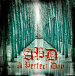AA Perfect Day Review