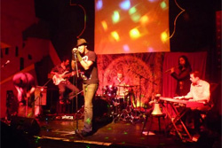 The Daedalus Spirit Orchestra Band Photo