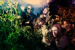 Estoner Band Photo