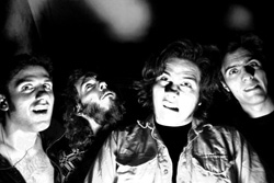 42 Decibel Hard Rock N Roll Band Photo