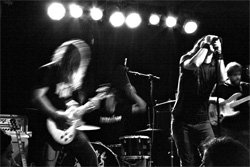 Ape Machine Band Photo