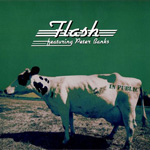 Flash In Public Album Review