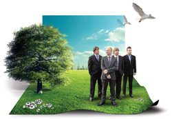 Flicker Band Photo