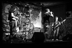 Iron Jaws Guilty of Ignorance Photo