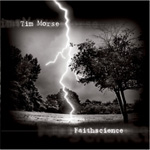 Tim Morse - Faithscience Album Review