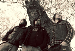 Stubb Cry Of The Ocean Photo