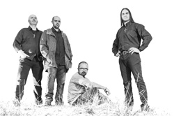 Darking Band Photo