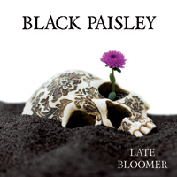 Black Paisley - Late Bloomer CD Album Review