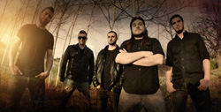 Borealis Band Photo