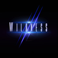 Wildness 2017 Self-titled Debut CD Album Review