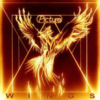 Picture - Wings Music Review