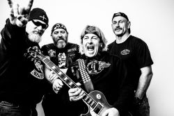 Dirty Rats - Click For Larger Image