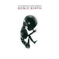 The Progressive Souls Collective - Sonic Birth Album Art