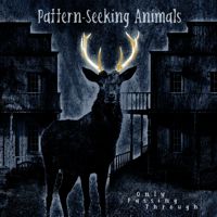 Pattern-Seeking Animals - Just Passing Through Album Art