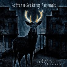 Read the SPattern-Seeking Animals: Only Passing Through Album Review
