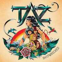 Taz, Wake Up & Sweat, Vol 1, Shipwrecked, Vol 2, Album Art